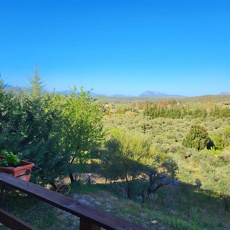 Panoramic House Villa Oliena Exterior photo
