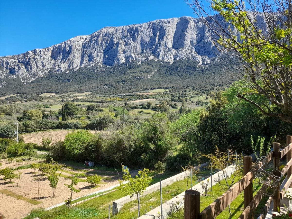 Panoramic House Villa Oliena Exterior photo