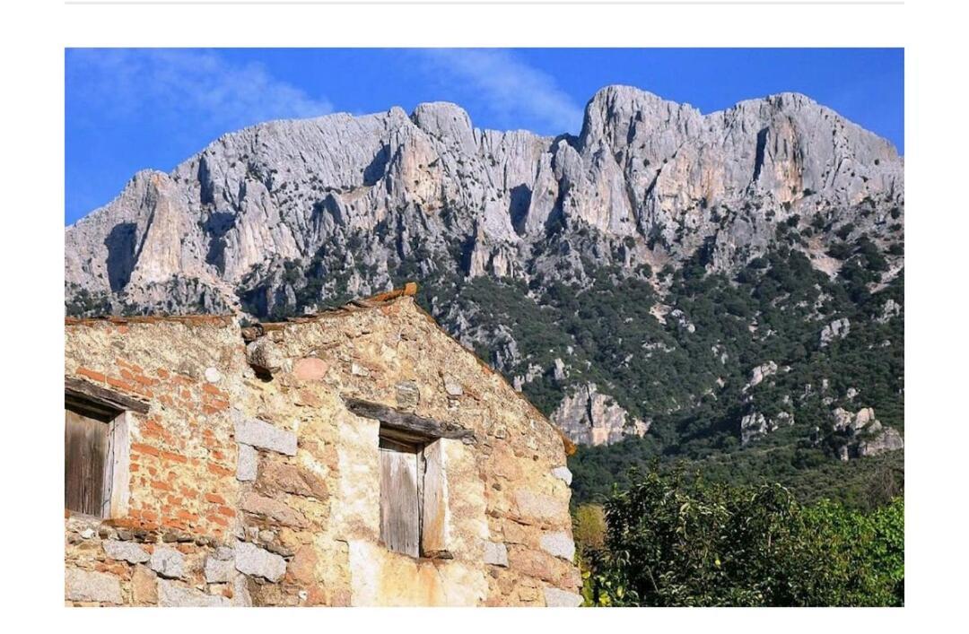 Panoramic House Villa Oliena Exterior photo