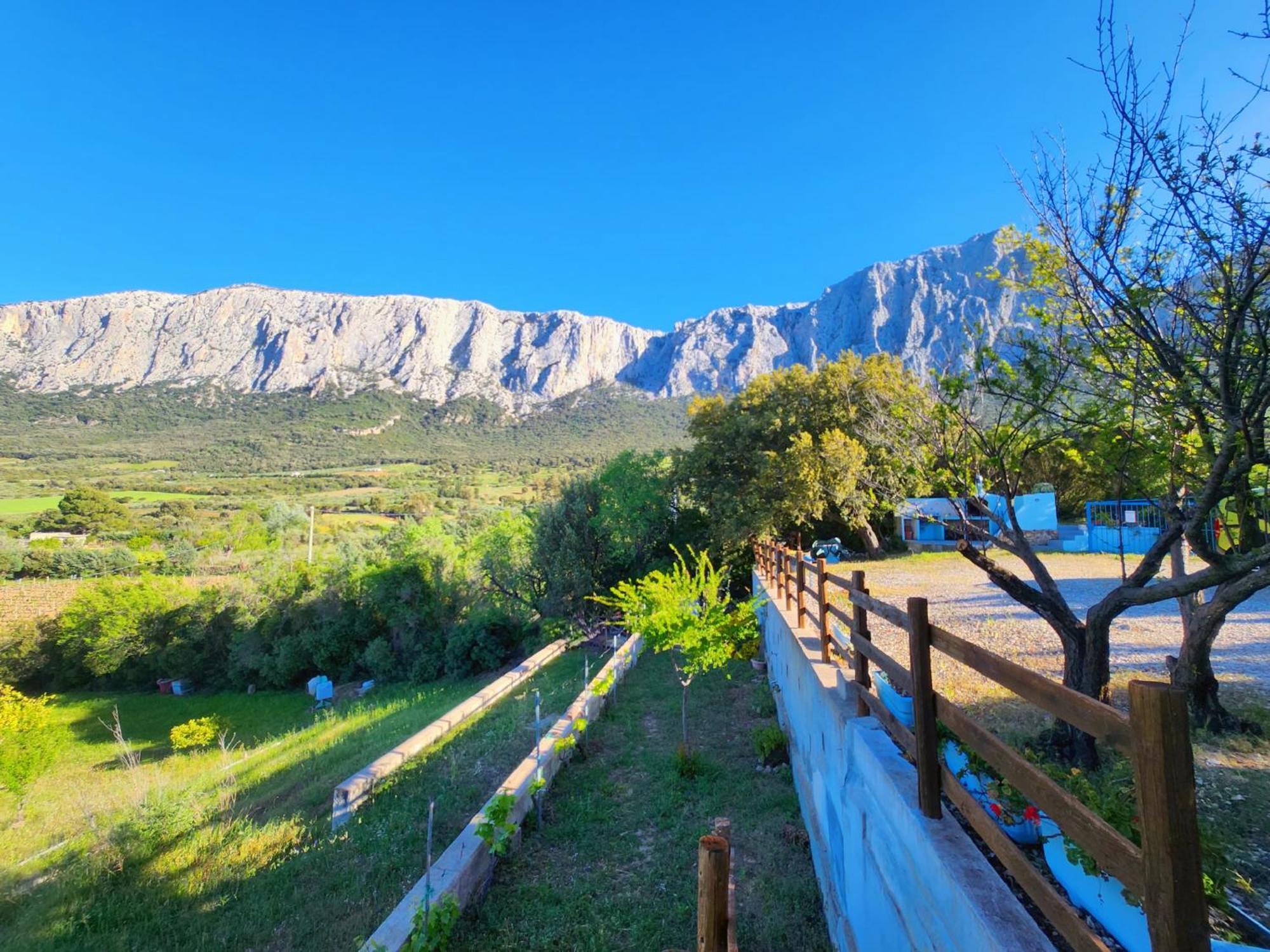 Panoramic House Villa Oliena Exterior photo