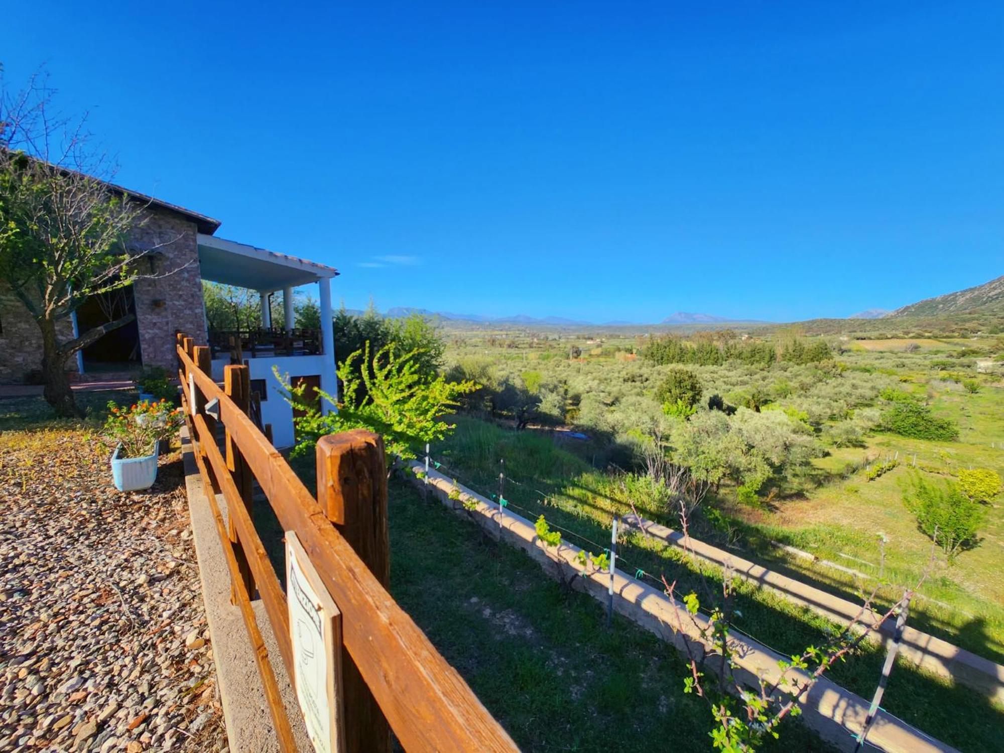 Panoramic House Villa Oliena Exterior photo