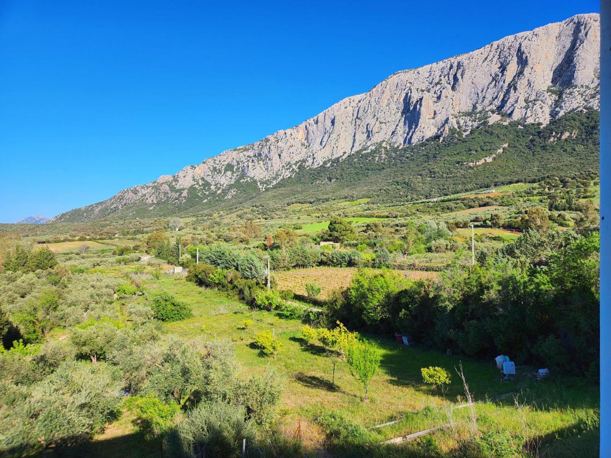 Panoramic House Villa Oliena Exterior photo