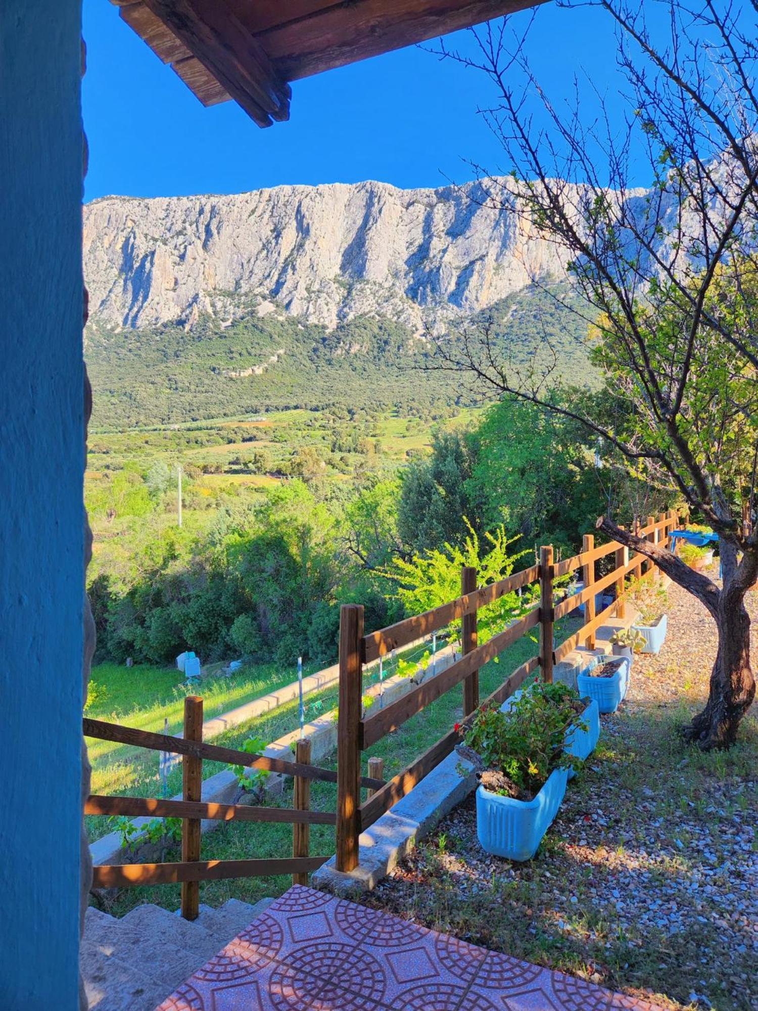 Panoramic House Villa Oliena Exterior photo