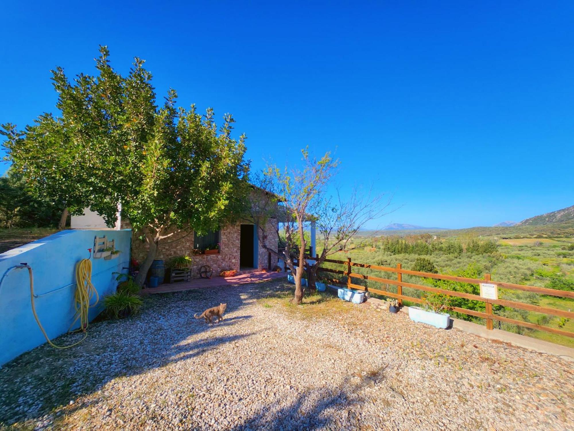 Panoramic House Villa Oliena Exterior photo